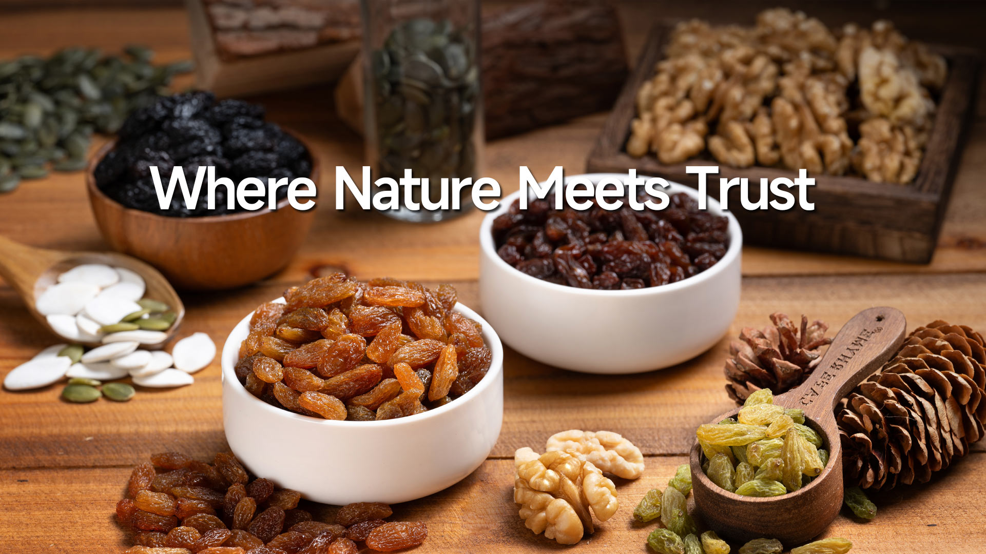 金典食品有限公司